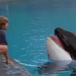 Reboot για το «Free Willy» από τη Warner Bros
