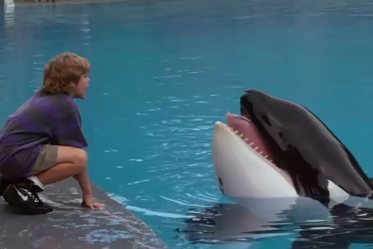 Reboot για το «Free Willy» από τη Warner Bros