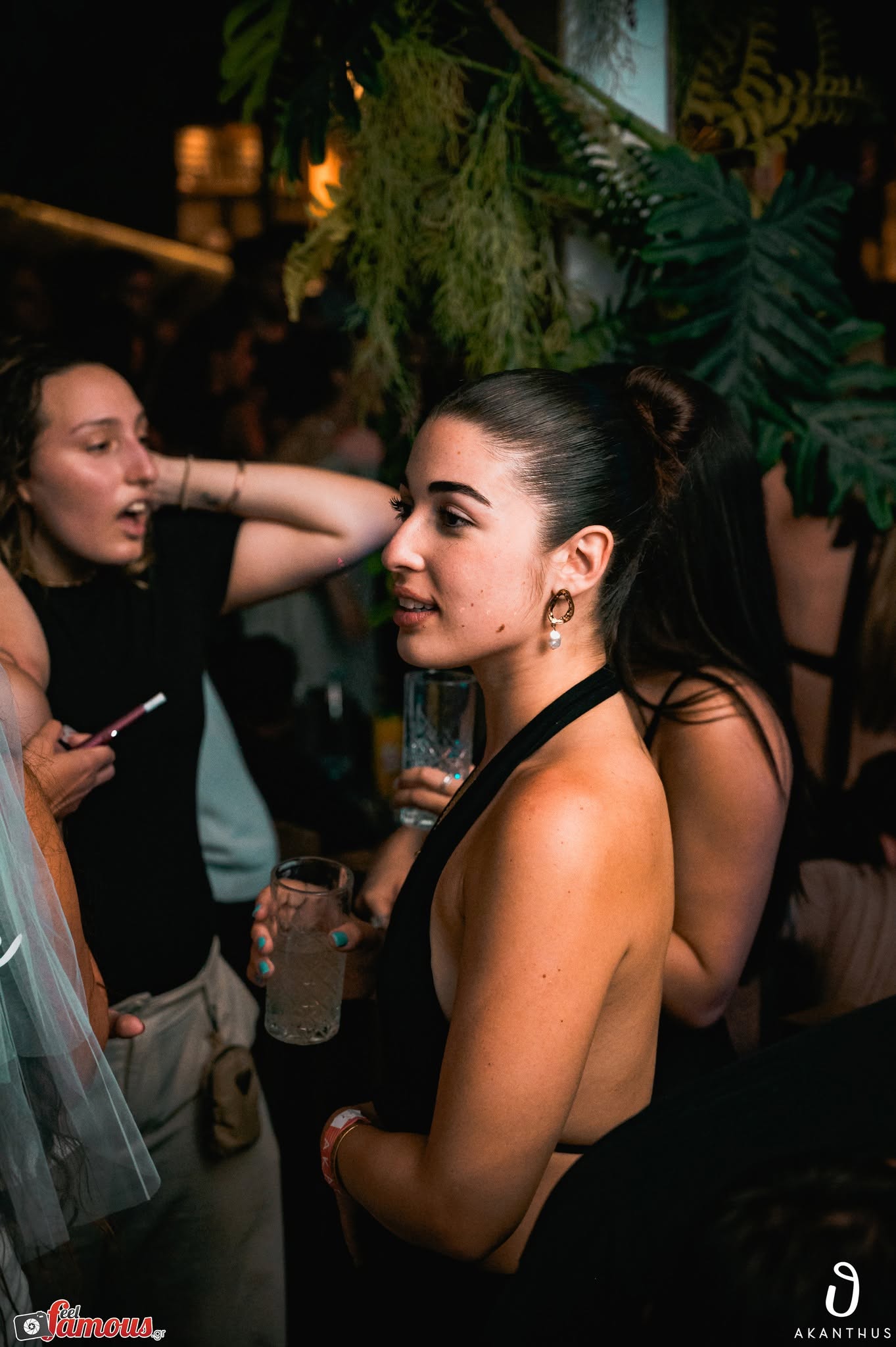party full on Akanthus