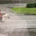 Και... σούζα ο διανομέας