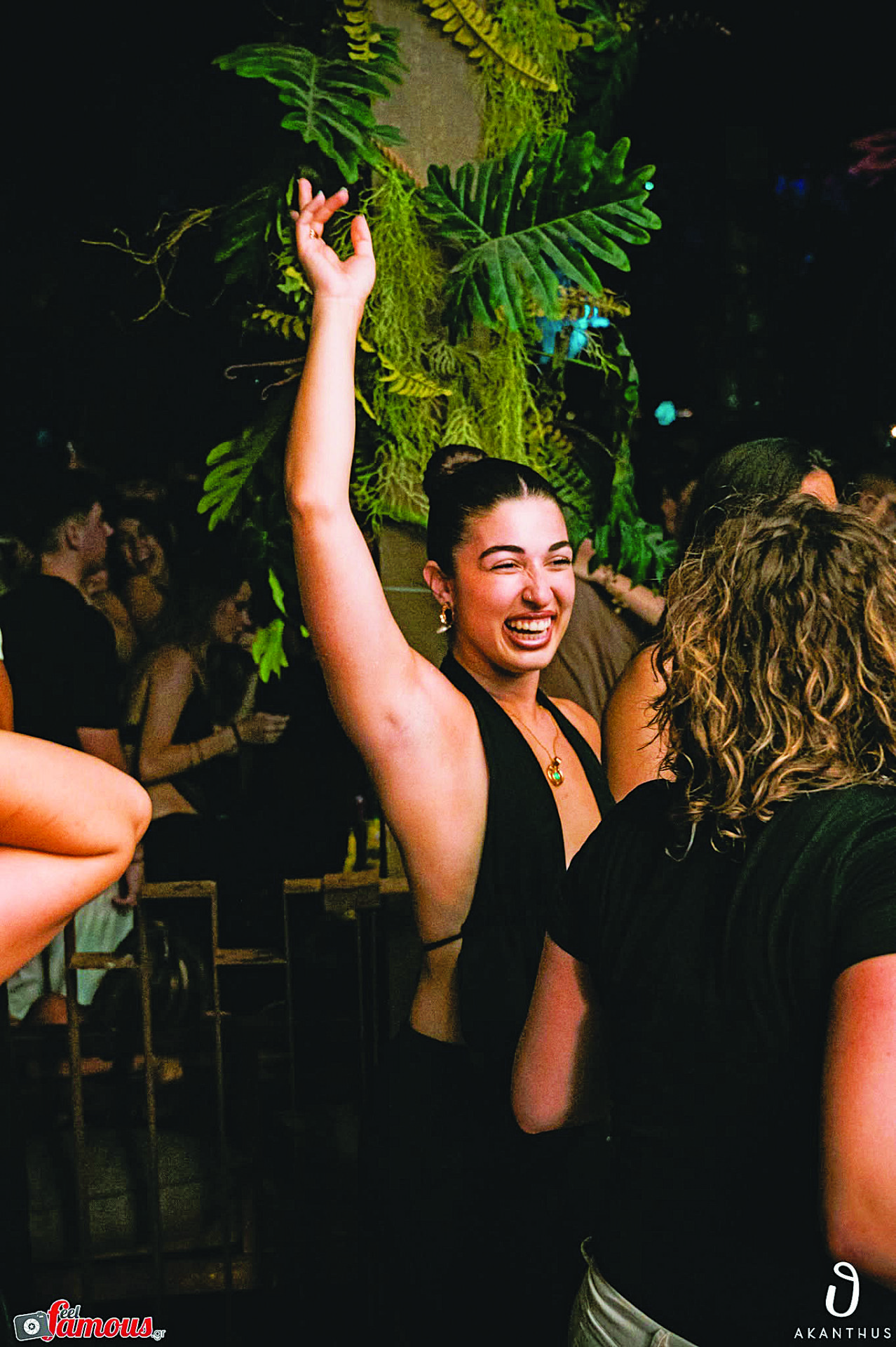 party full on Akanthus