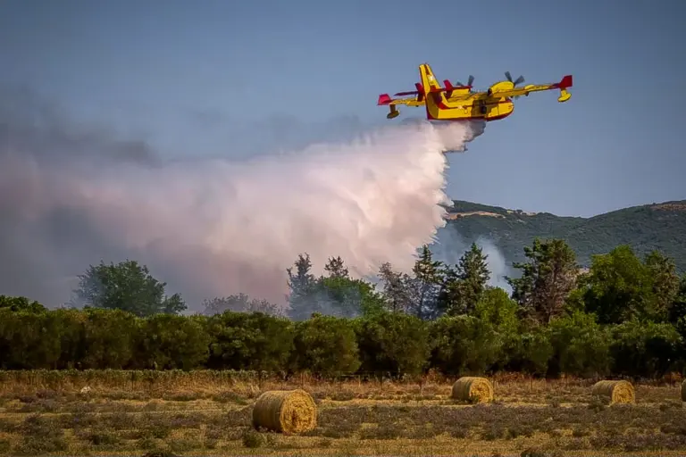 Φωτιά στο Βαρθολομιό Ηλείας: Ήχησε το 112 – Επιχείρηση από γη και αέρα