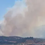 Φωτιά στην Αργολίδα: Εκκενώνεται ολόκληρο το Φίχτι προς Άργος – Ισχυρές δυνάμεις και 5 εναέρια μέσα