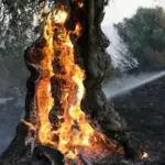 Φονική η πυρκαγιά στο Ρέθυμνο:  Πληροφορίες για δύο νεκρούς  πυροσβέστες - Έκκενώνονται χωριά