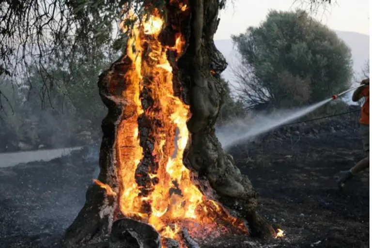 Φονική η πυρκαγιά στο Ρέθυμνο: Πληροφορίες για δύο νεκρούς πυροσβέστες - Έκκενώνονται χωριά