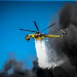 Φωτιά στη Βοιωτία: Οι φλόγες μπήκαν σε δασική έκταση – Στη μάχη τρία ελικόπτερα