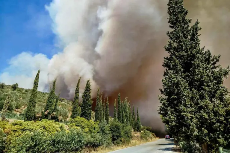 Εύβοια: Μεγάλη φωτιά στην Επισκοπή απειλεί σπίτια, εκκενώνεται χωριό