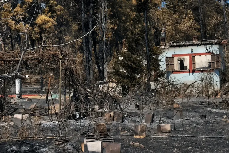 Σκηνές τραγωδίας στο Ωραιόκαστρο: Νεκρός στη ντουλάπα βρέθηκε ο 12χρονος