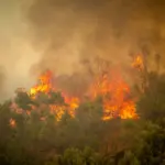 Μαίνεται η φωτιά στο Ρέθυμνο – Νέο μήνυμα του 112 για εκκενώσεις προς τα Λευκόγεια