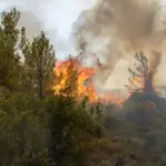 Μεγάλη φωτιά στη Φθιώτιδα: Μήνυμα 112 για εκκένωση δύο οικισμών