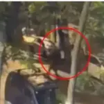 Δολοφονία Σταύρου Γεωργίου: Το βίντεο με άτομο έξω από το γραφείο του
