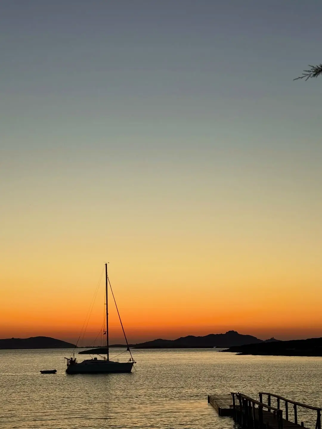 Καινούργιου με κορούλα στην Πάρο
