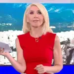 Μίνα Καραμήτρου: Ξέσπασε για την κακοποίηση σκύλου - «Ρε βάρβαρε, τι είναι αυτό;»