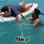 Άλκηστις Πρωτοψάλτη: Η... υποβρύχια εισβολή στον Νίκο Πορτοκάλογλου που έγινε viral