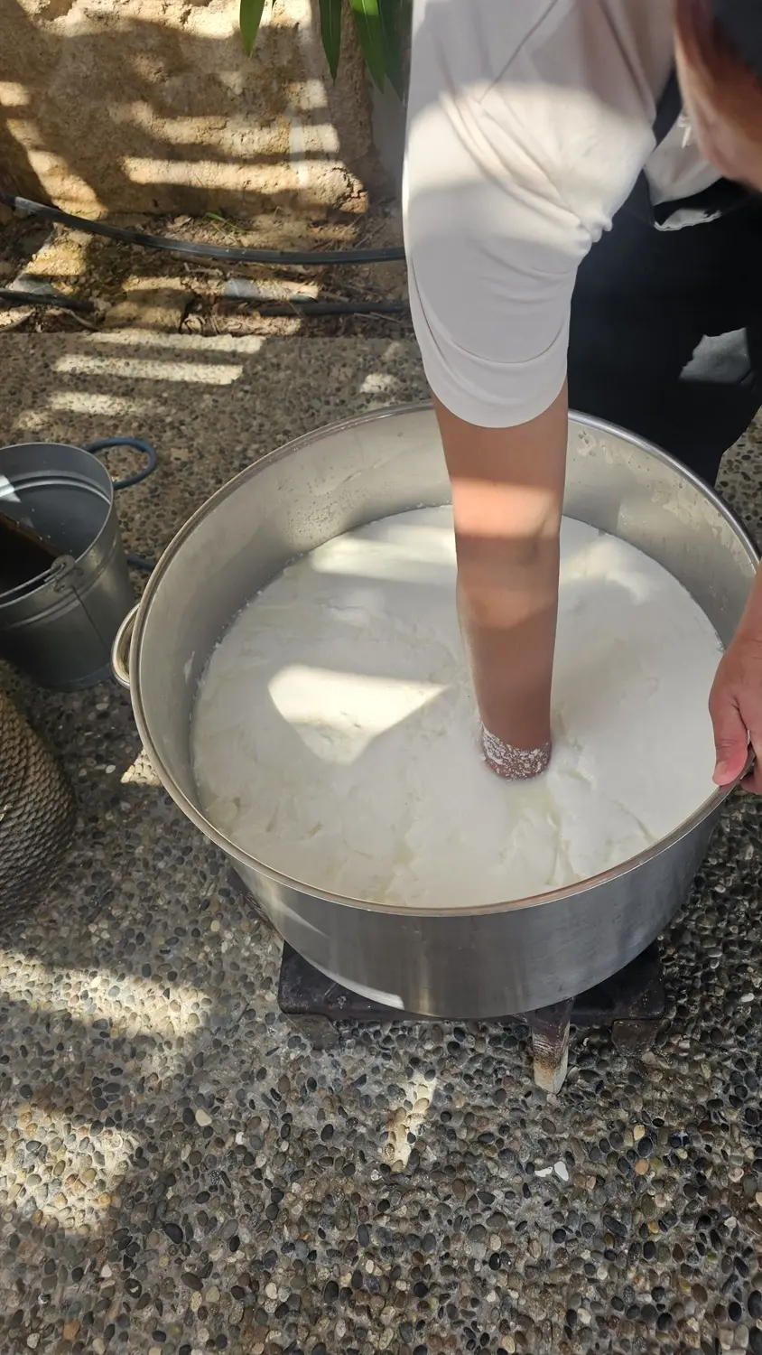 Οδοιπορικό Κύπρος για χαλούμι