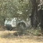 Λευκάδα: Κρυφό πάθος κάτω από τις ελιές – Το βίντεο που έγινε viral