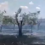 Φωτιά στη Μεγάλη Χώρα Αγρινίου – Στη μάχη με τις φλόγες και δύο αεροσκάφη