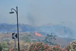 Φωτιά τώρα στη Χίο