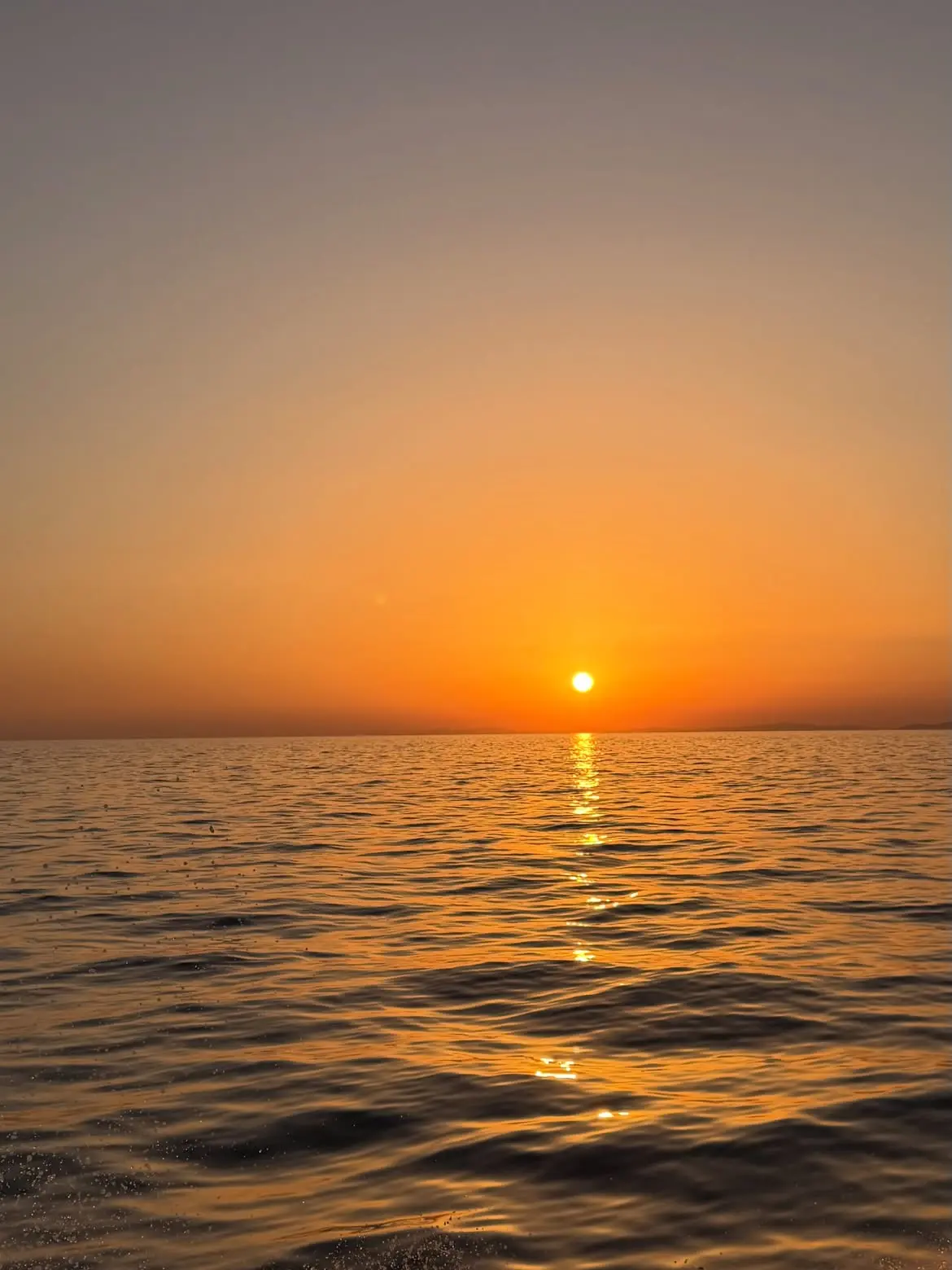 Ελένη Τσολάκη