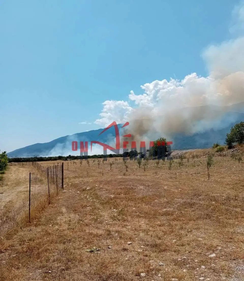 Φωτιά Πιερία