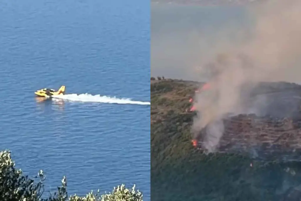 Οι πυροσβεστικές δυνάμεις δίνουν μεγάλη μάχη για να εμποδίσουν την επέκταση της φωτιάς προς κατοικημένες περιοχές.