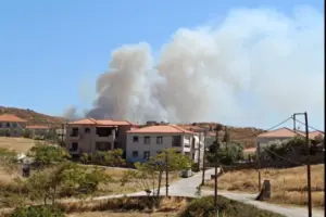 Μάχη με τις φλόγες στη Λήμνο: Εκκενώνονται δύο περιοχές - Πάνω από 59 απομακρύνσεις δια θαλάσσης