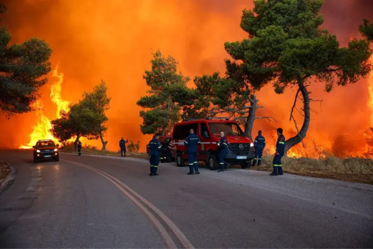 Δυτική Αττική: Σε ύφεση η μεγάλη πυρκαγιά – Μάχη με τις αναζωπυρώσεις σε τρία μέτωπα