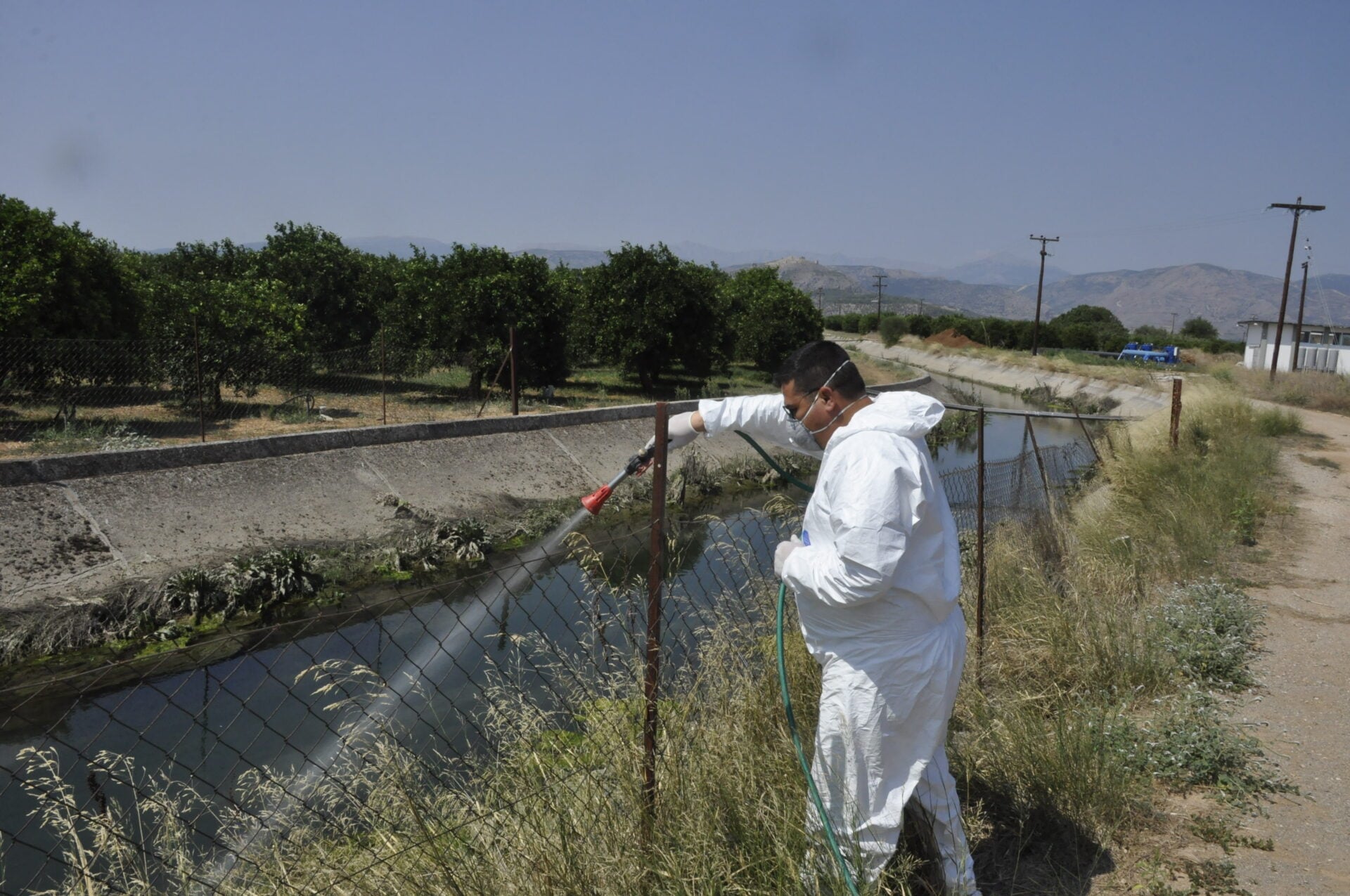 Σε επιφυλακή οι αρχές λόγω της αύξησης των κρουσμάτων του ιού του Δυτικού Νείλου.