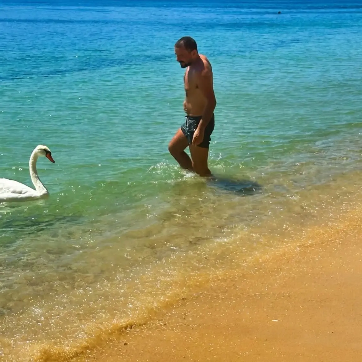 Κώστας Τσουρός