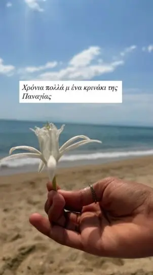 nansi zampetoglou