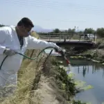 Ιός του Δυτικού Νείλου: Αυξάνονται τα κρούσματα – Οι περιοχές υψηλού κινδύνου