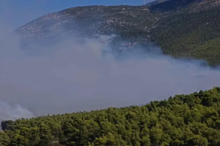 Πόρτο Γερμενό: Οι άνεμοι έστειλαν τις φλόγες σε δύο μέτωπα – Καθηλωμένα τα εναέρια μέσα