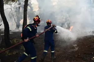 Φωτιά στην Ελάτεια Φθιώτιδας – Μήνυμα από το 112