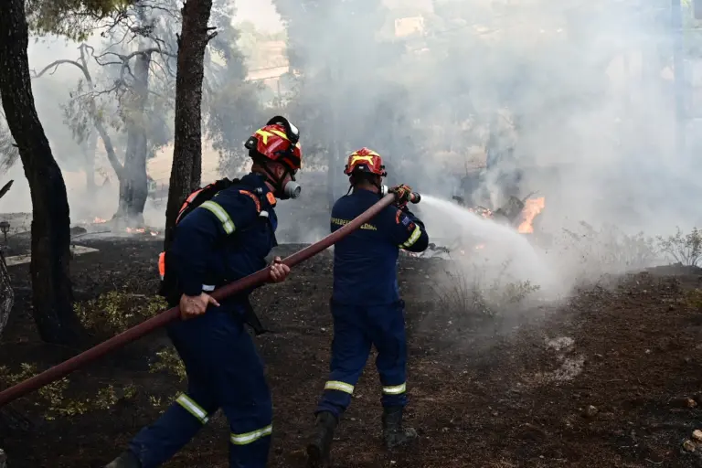 Φωτιά στην Ελάτεια Φθιώτιδας – Μήνυμα από το 112