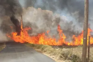Φωτιά στη Βροντού Πιερίας: Μεγάλη κινητοποίηση της Πυροσβεστικής με εναέρια και επίγεια μέσα