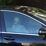 Γιώργος Μαζωνάκης: Προσήγαγαν το ζευγάρι των γιατρών – Έρευνα και στο σπίτι του στη Βούλα