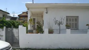 Αίγιο: Οι 34 μαχαιριές στη μητέρα και το ανατριχιαστικό σενάριο της αυτοχειρίας