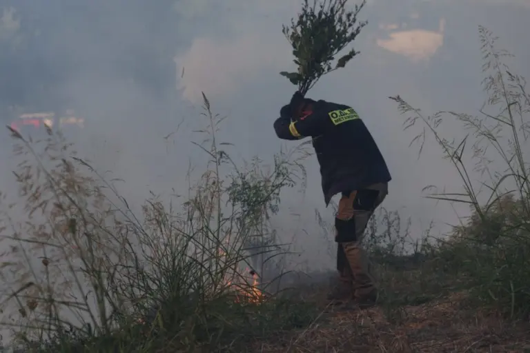 Φωτιά τώρα στο Γαλάτσι – Σηκώθηκαν δύο ελικόπτερα