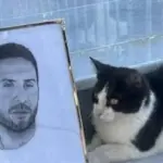 Γιώργος Μαζωνάκης: Αγωνία για τον μικρό Μάιλο - Χάθηκε από τον τάφο του και τον αναζητούν στο νεκροταφείο